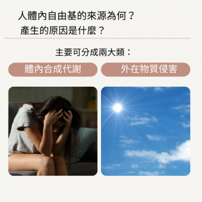 自由基.png